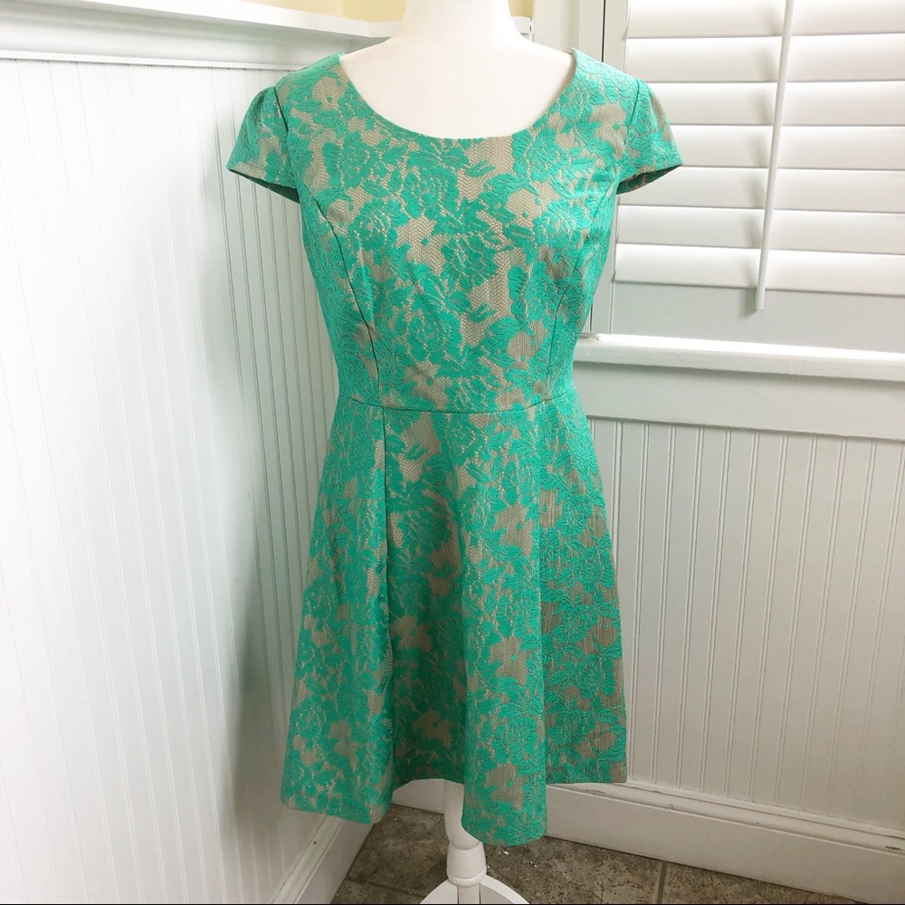 Enfocus Studio Nude & Green Floral Lace Dress - 10